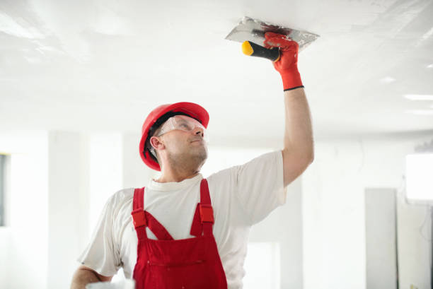 Best Water-Damaged Drywall Repair  in Farmingdale, NY